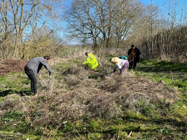 Tree work earth trust
