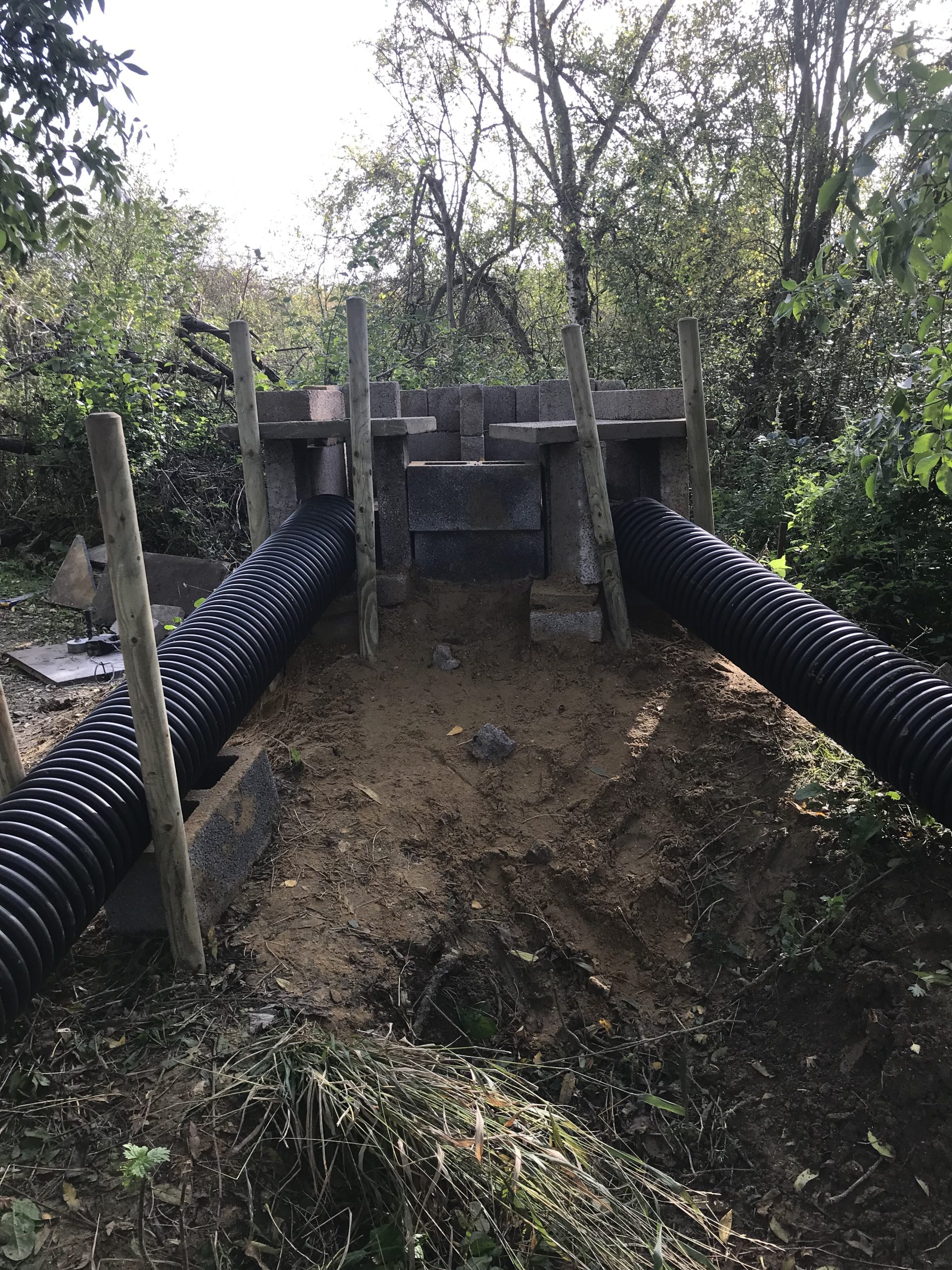 Otter holt creation 3