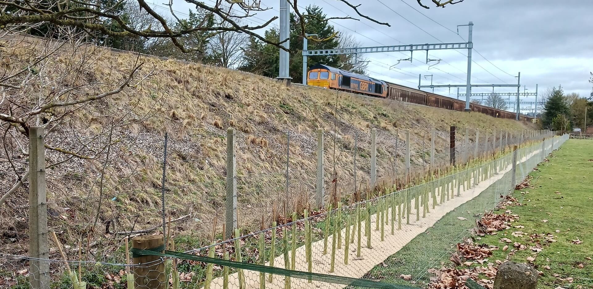 Mitigation planting case studies