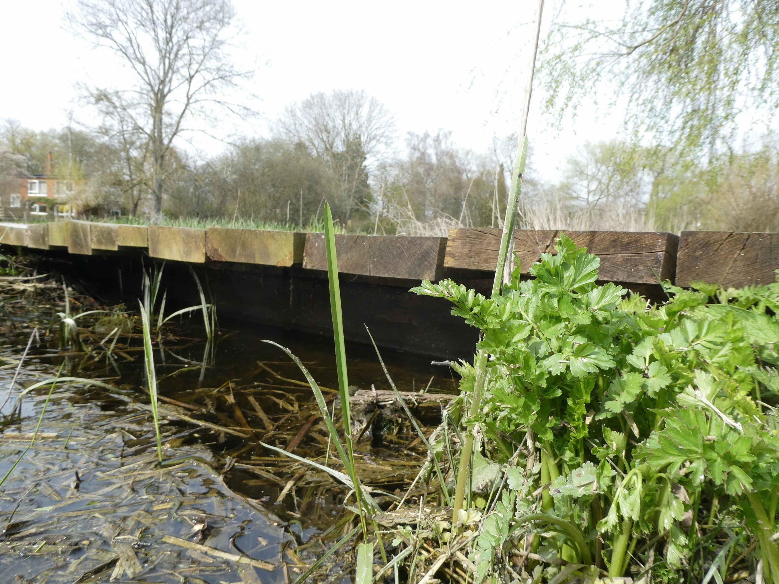 Cleeve Water Meadow Bridge
