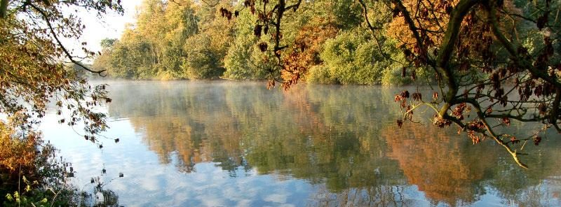 Hampstead Norreys Community Wetland Project