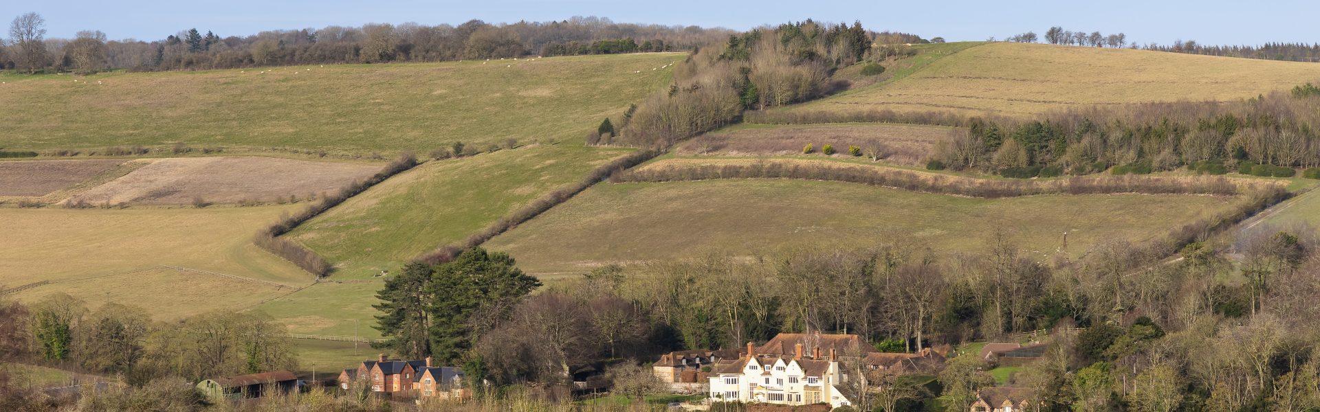 Rectory Farm chalk grassland restoration trial