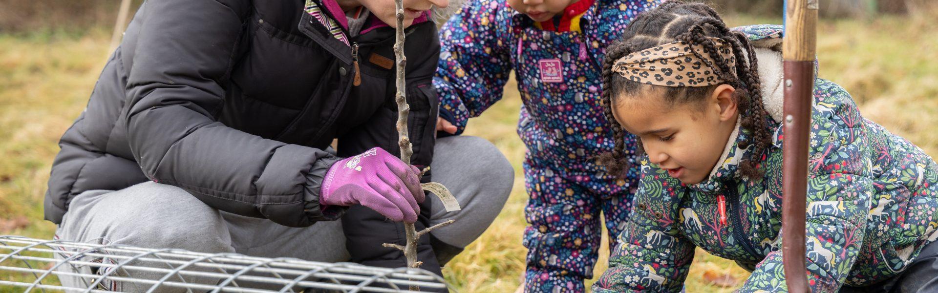 South Stoke - The Park