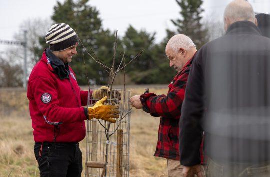 A Dave Olinkski photo of two men carefully helping each other to put a tree guard on a newly planted tree