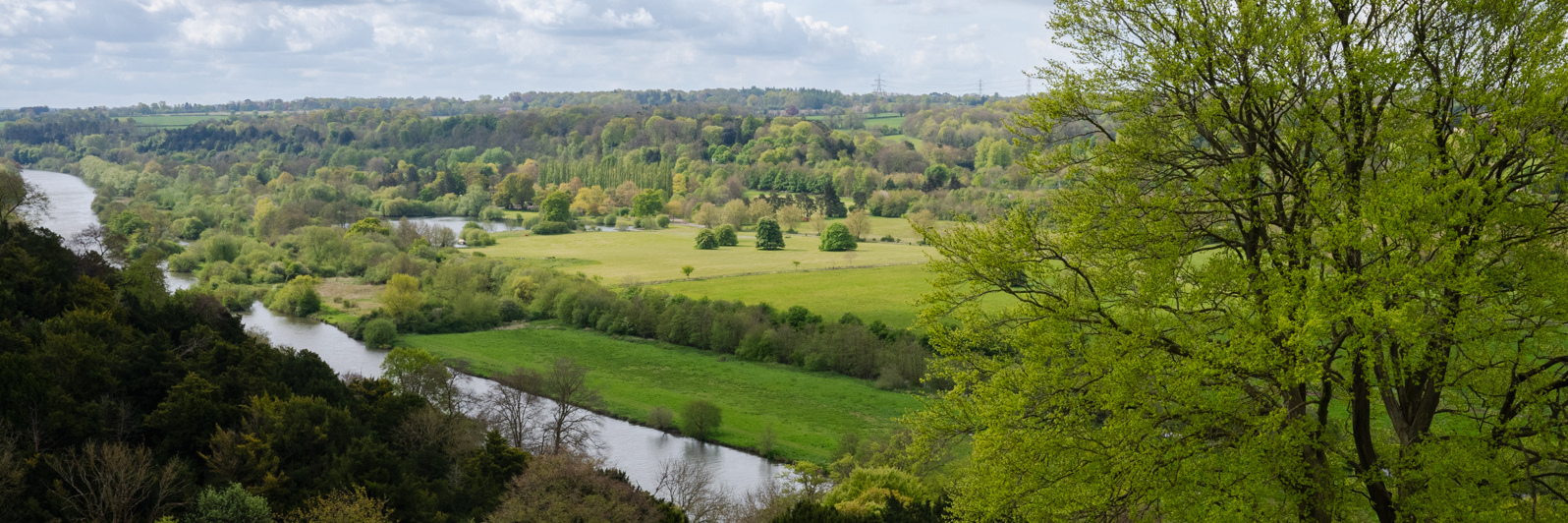 Landscape Enhancements