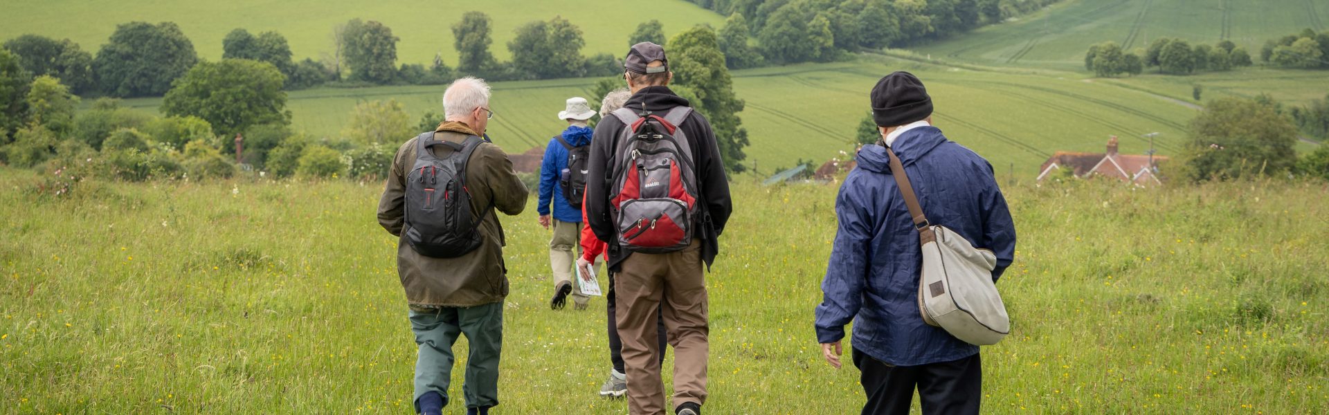 National Trust  Chalk Grassland Restoration