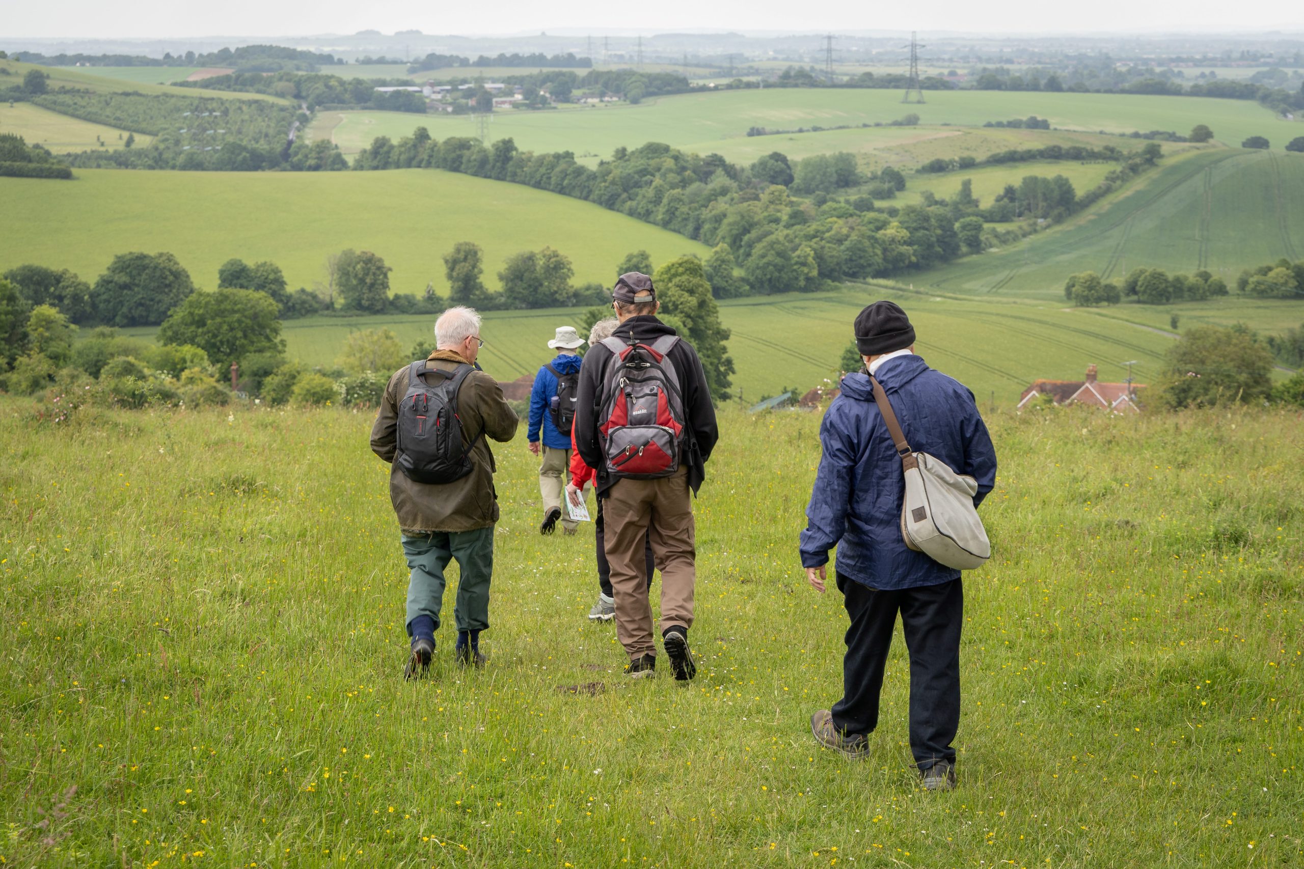 Lough Down Streatley, National Trust Chalk Grassland