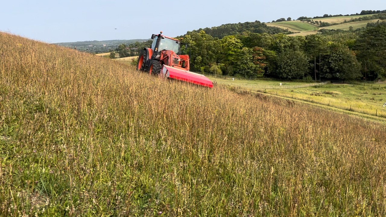 Seed harvester on steep banks in Streatley West Berkshire