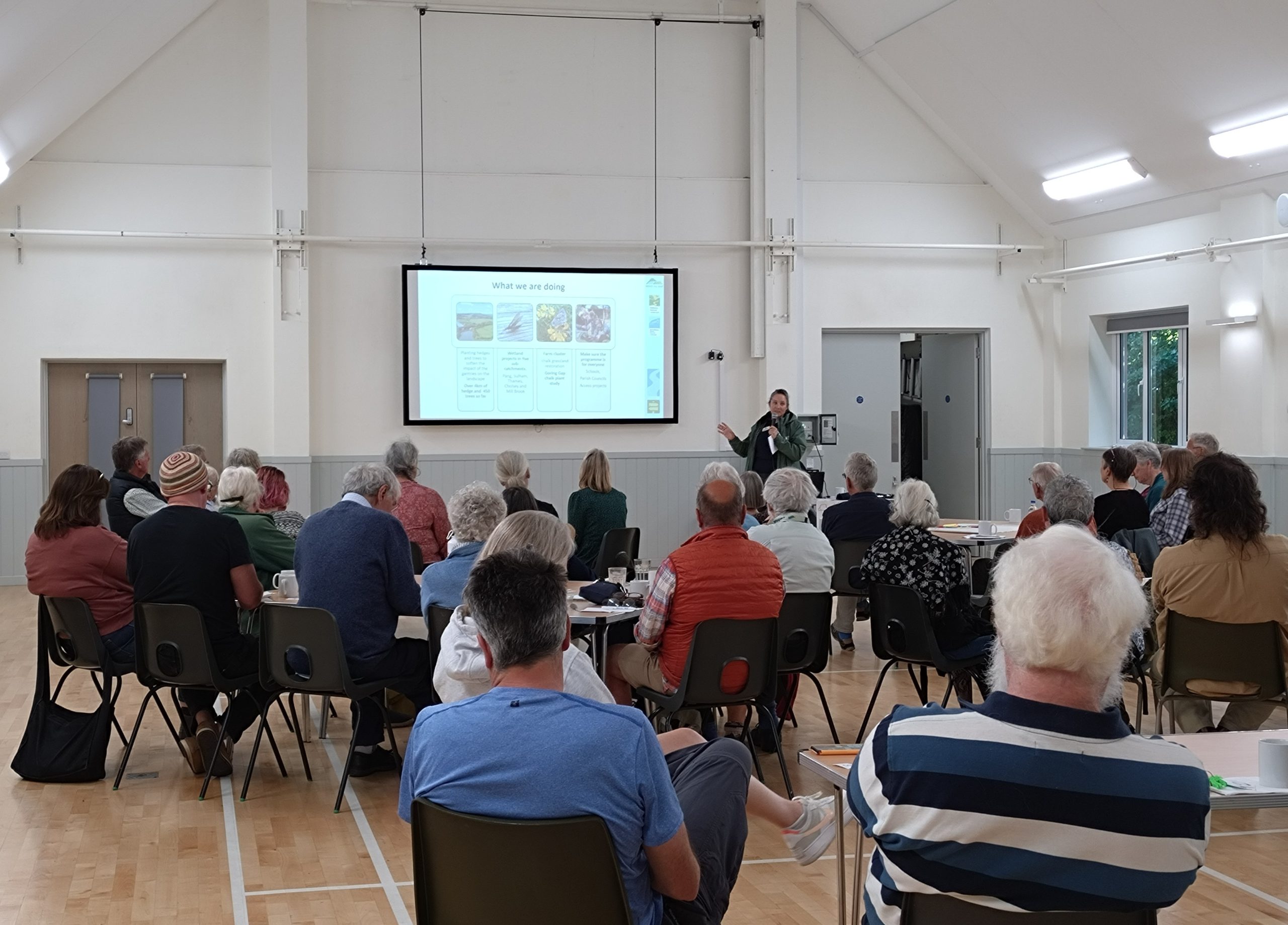 Mill Brook Consultation